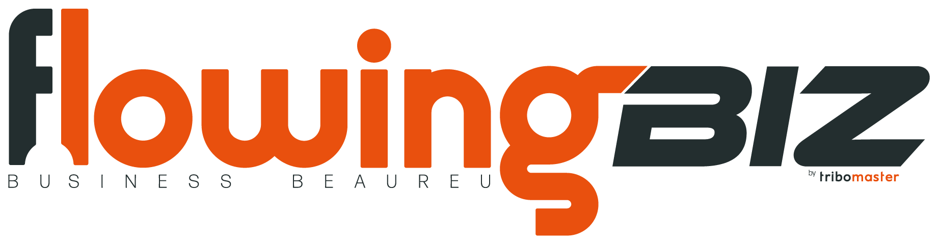 flowingbiz logo